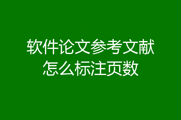 软件论文参考文献怎么标注页数