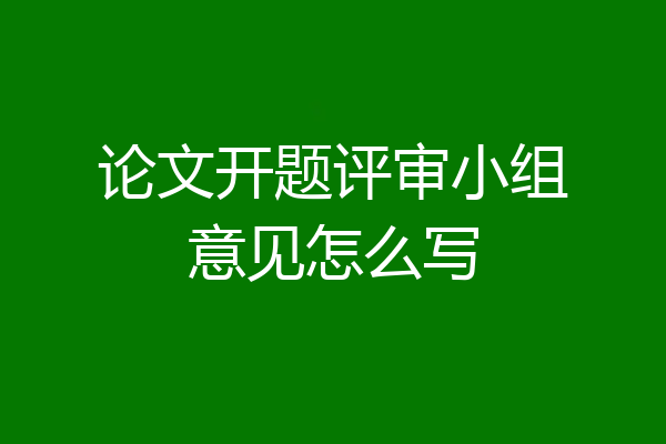 论文开题评审小组意见怎么写