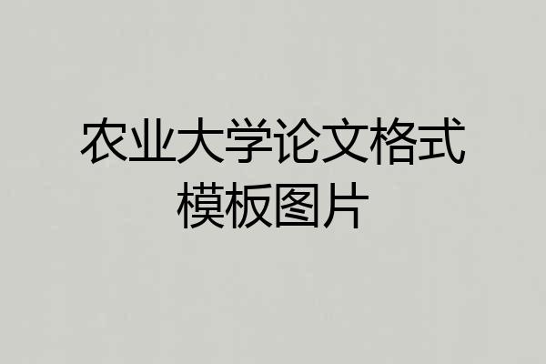 农业大学论文格式模板图片