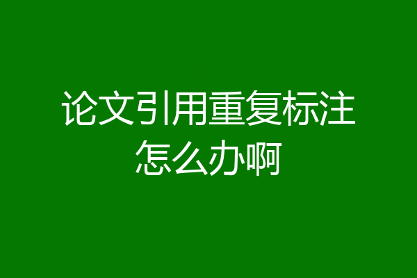 论文引用重复标注怎么办啊