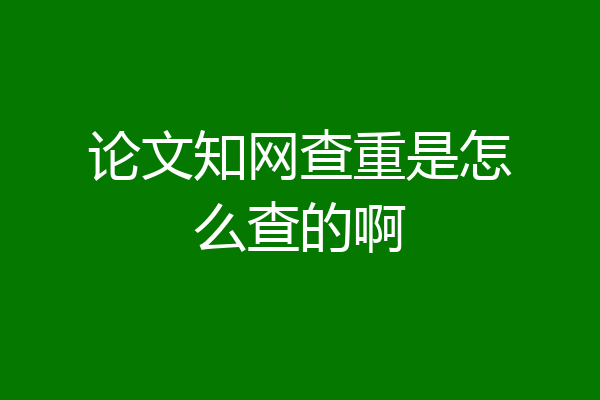 论文知网查重是怎么查的啊