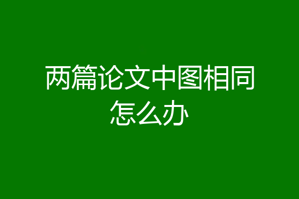 两篇论文中图相同怎么办