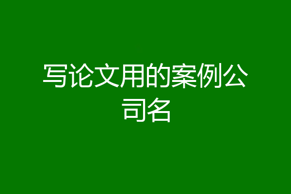 写论文用的案例公司名
