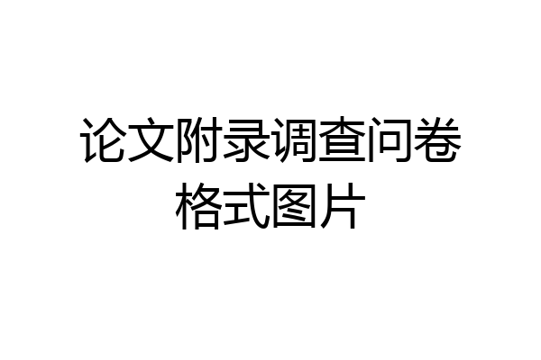 论文附录调查问卷格式图片