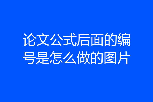 论文公式后面的编号是怎么做的图片