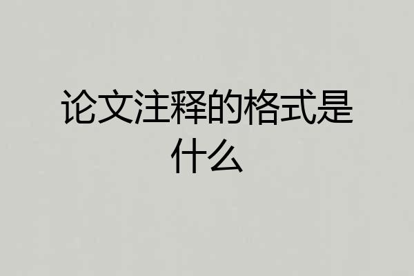 论文注释的格式是什么