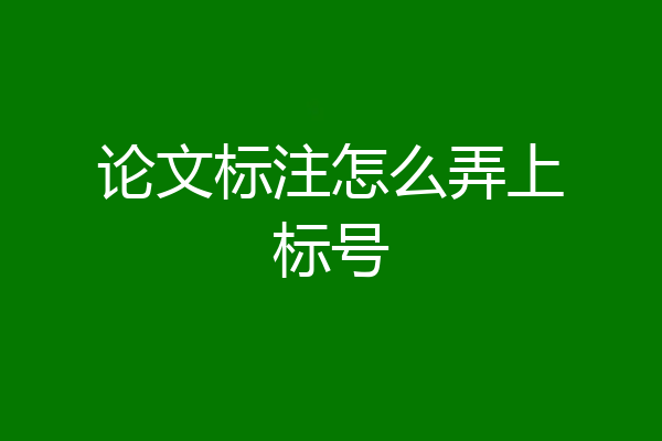 论文标注怎么弄上标号