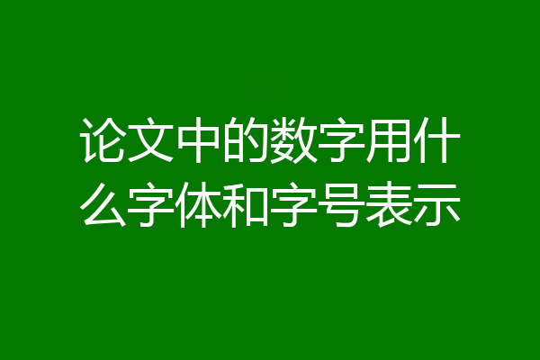 论文中的数字用什么字体和字号表示
