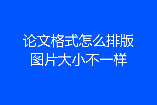 论文格式怎么排版图片大小不一样