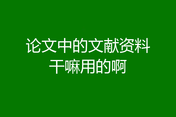 论文中的文献资料干嘛用的啊