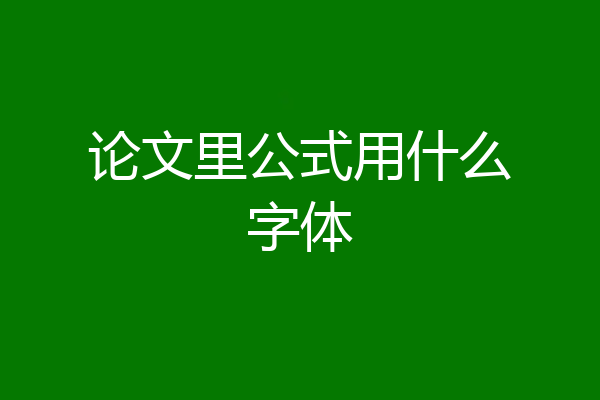 论文里公式用什么字体