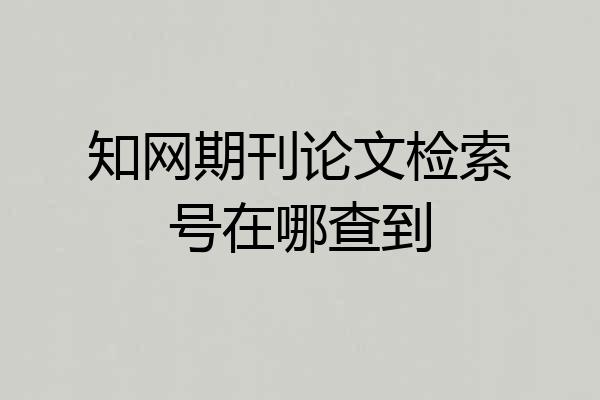 知网期刊论文检索号在哪查到
