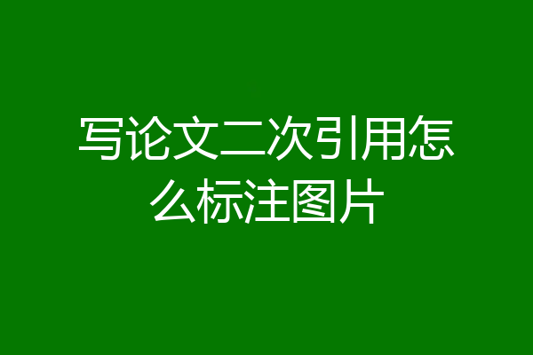 写论文二次引用怎么标注图片
