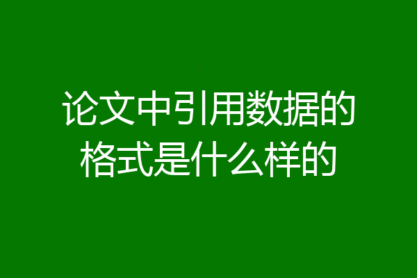 论文中引用数据的格式是什么样的