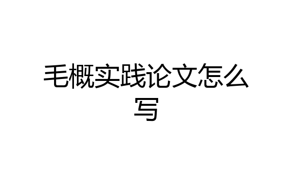 毛概实践论文怎么写