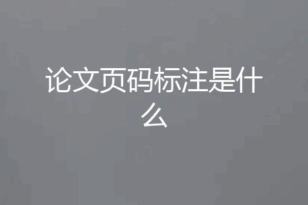 论文页码标注是什么
