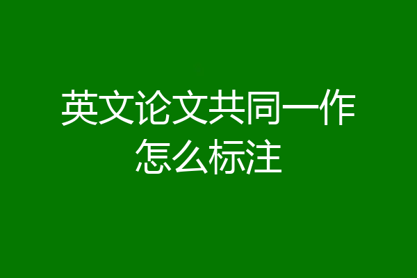 英文论文共同一作怎么标注