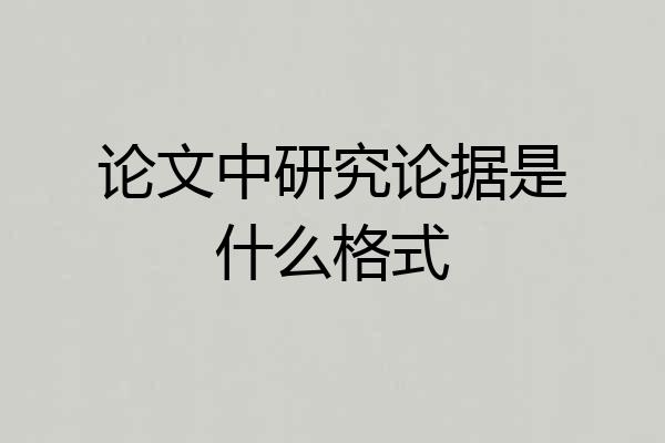 论文中研究论据是什么格式