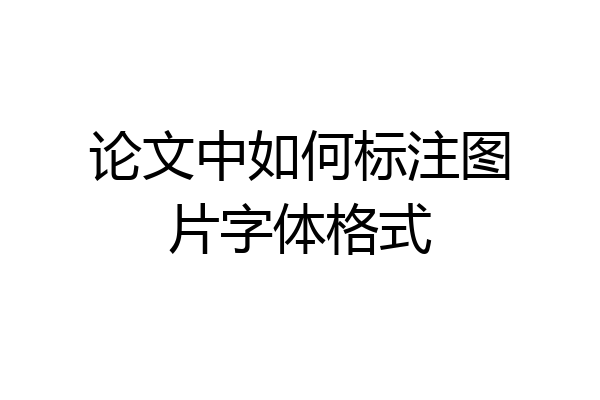 论文中如何标注图片字体格式