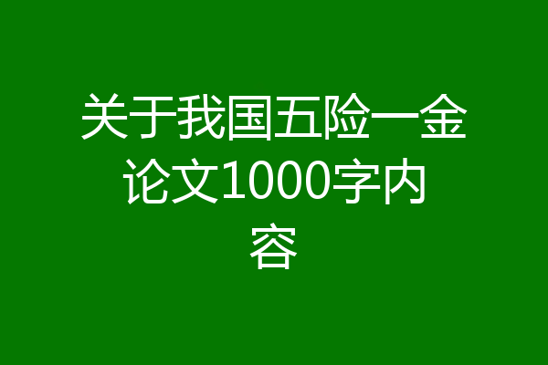 关于我国五险一金论文1000字内容
