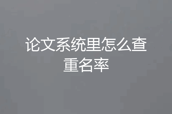 论文系统里怎么查重名率