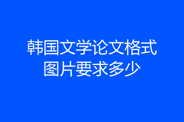 韩国文学论文格式图片要求多少