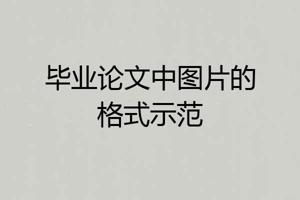 毕业论文中图片的格式示范