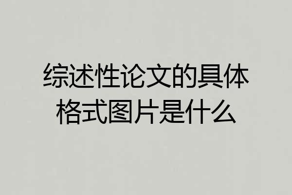 综述性论文的具体格式图片是什么