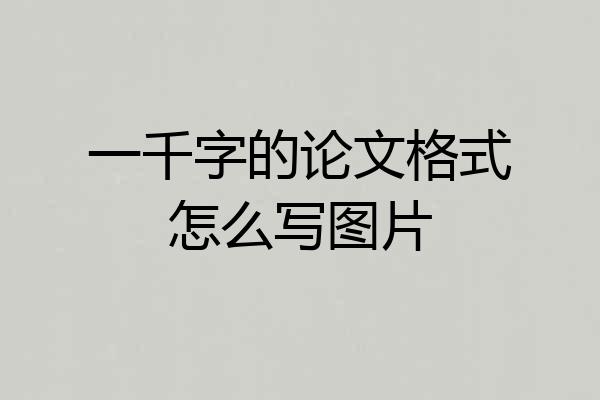 一千字的论文格式怎么写图片