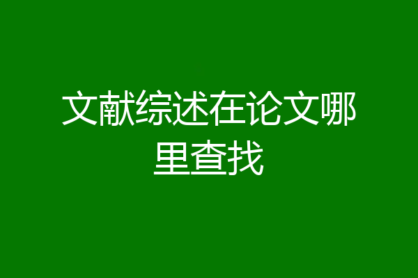 文献综述在论文哪里查找