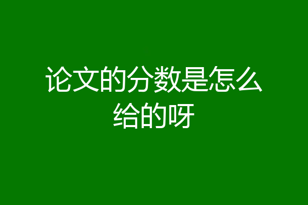 论文的分数是怎么给的呀