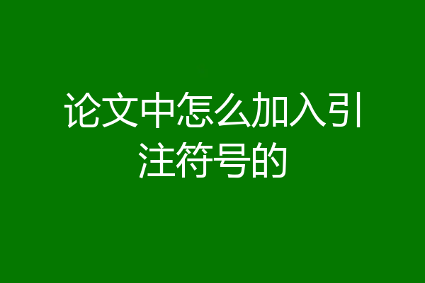 论文中怎么加入引注符号的