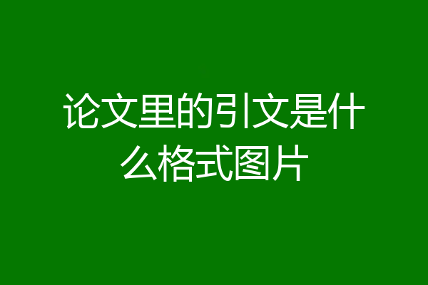 论文里的引文是什么格式图片