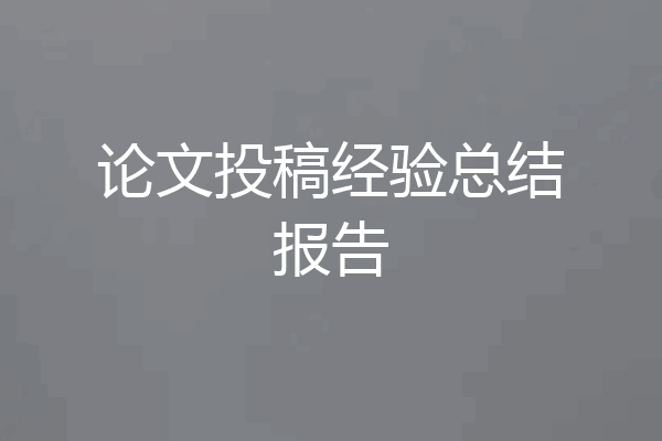 论文投稿经验总结报告