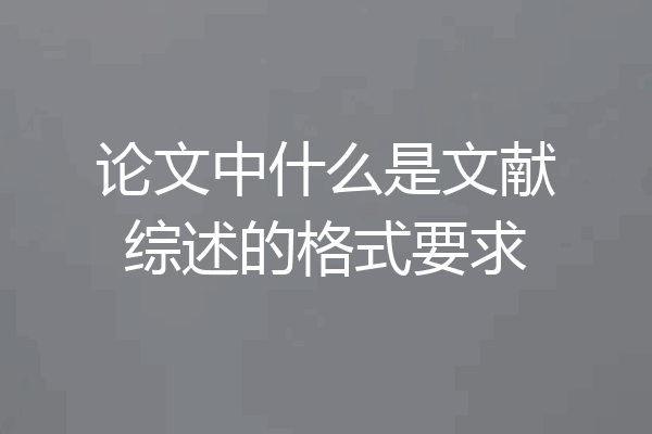 论文中什么是文献综述的格式要求