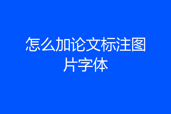 怎么加论文标注图片字体