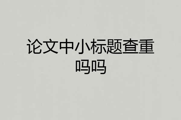 论文中小标题查重吗吗