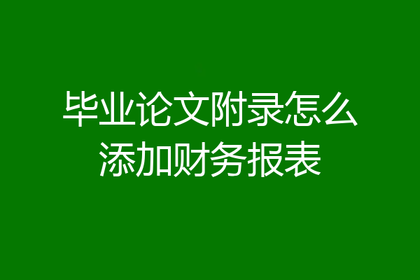 毕业论文附录怎么添加财务报表