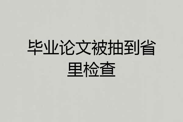 毕业论文被抽到省里检查