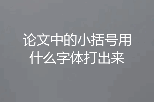 论文中的小括号用什么字体打出来
