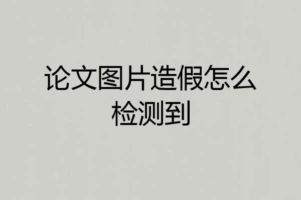 论文图片造假怎么检测到