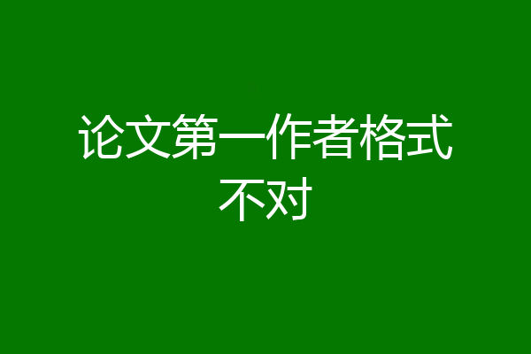 论文第一作者格式不对