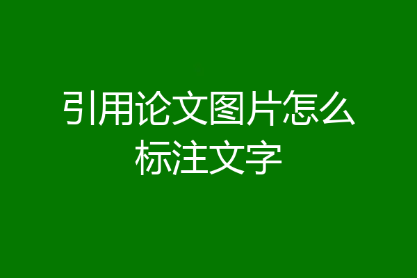 引用论文图片怎么标注文字