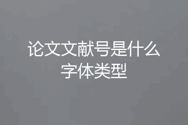 论文文献号是什么字体类型