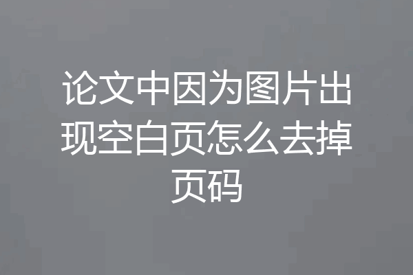 论文中因为图片出现空白页怎么去掉页码