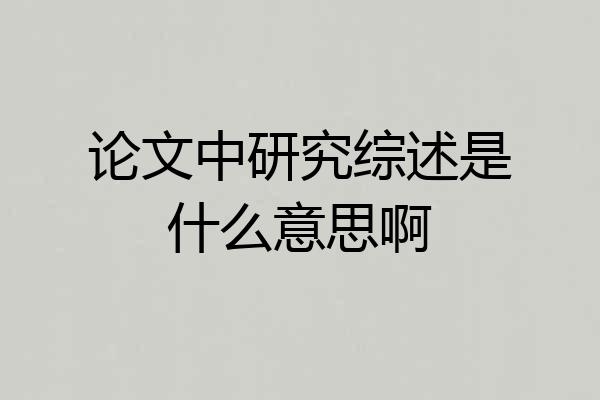 论文中研究综述是什么意思啊