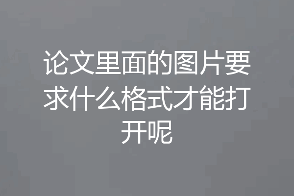 论文里面的图片要求什么格式才能打开呢