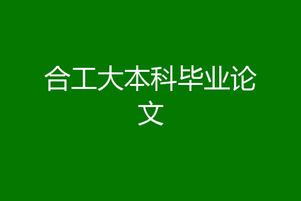 合工大本科毕业论文