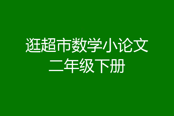 逛超市数学小论文二年级下册