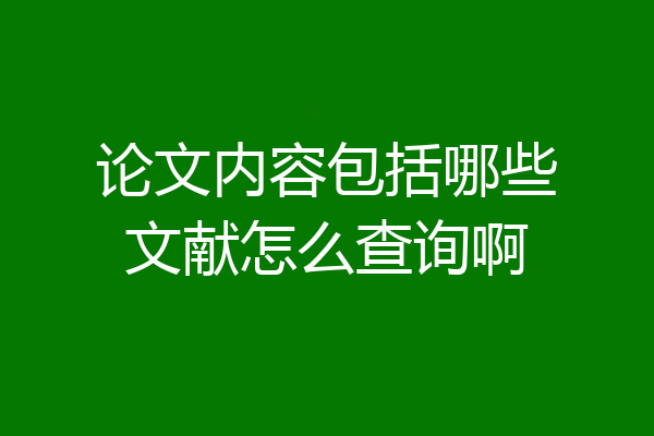 论文内容包括哪些文献怎么查询啊